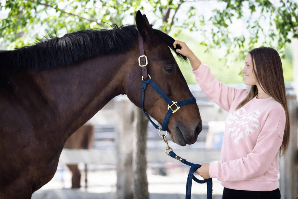 My Love of Horses Sweatshirt