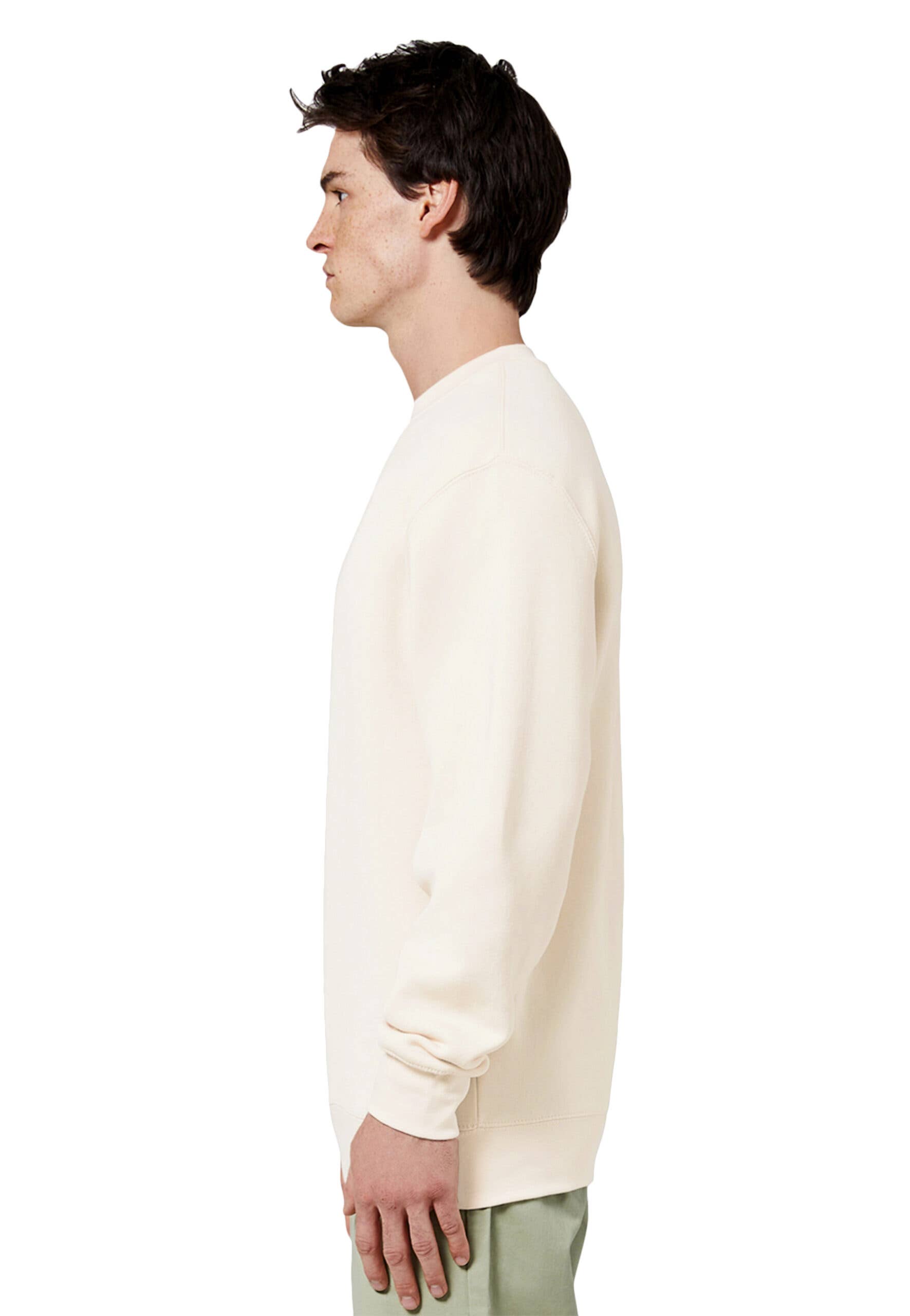 Premium Crewneck Sweatshirt - For Men & Women