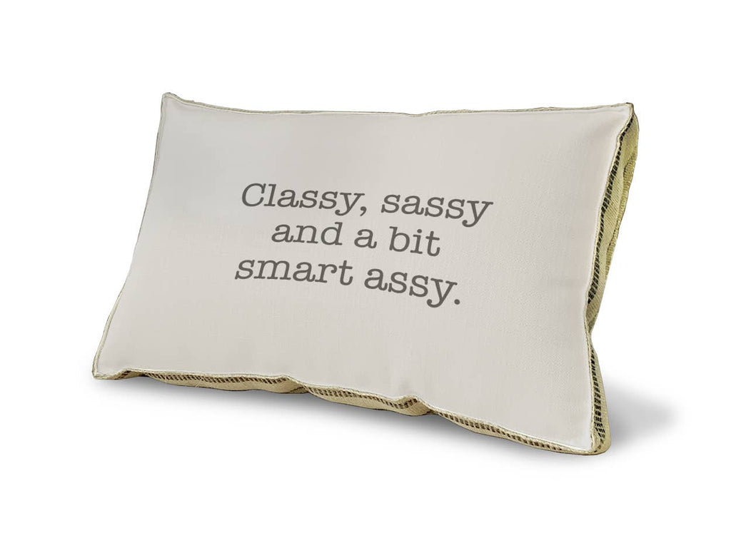 23" x 15" - Decorative Pillow - Classy, sassy...
