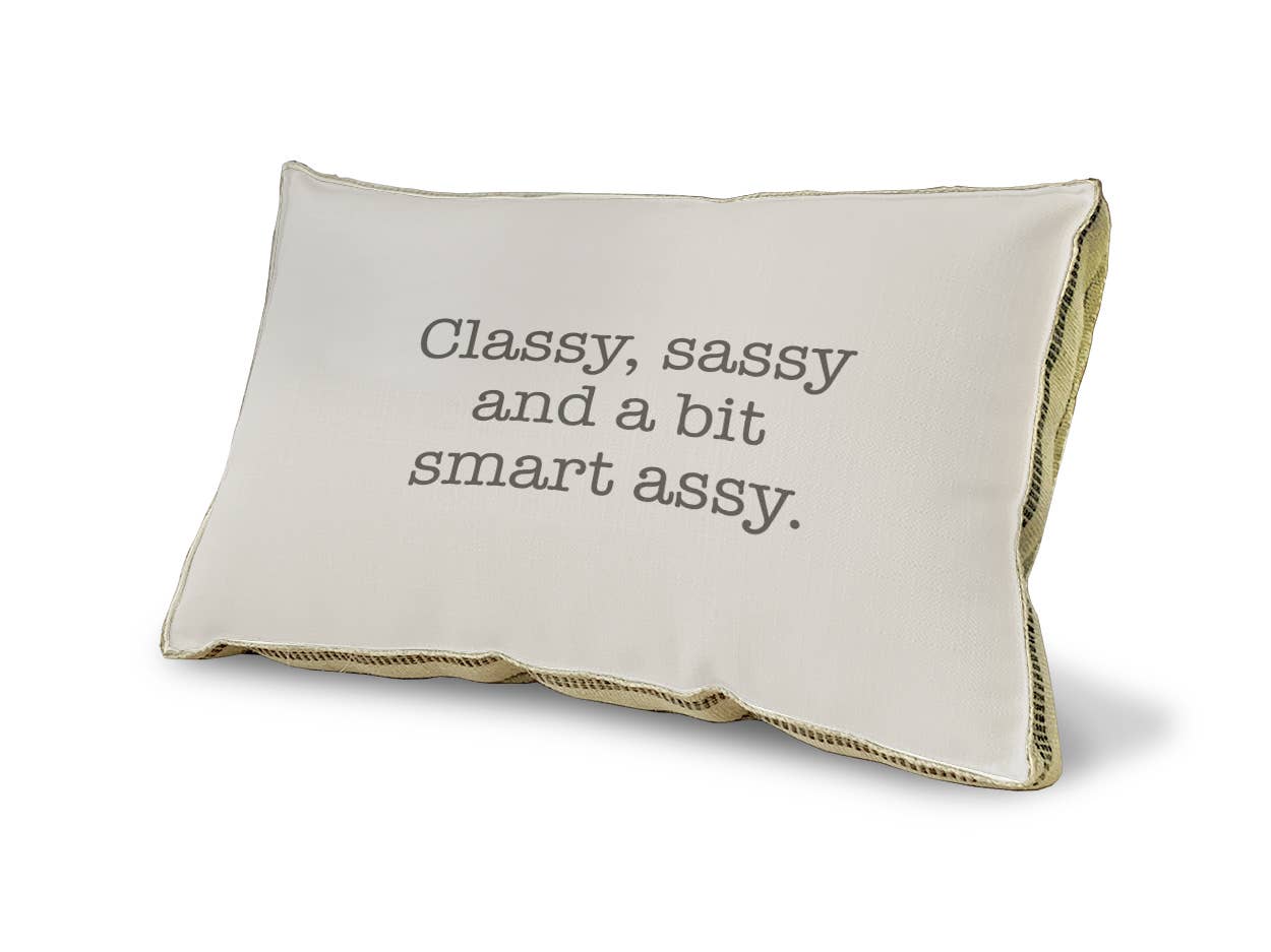 23" x 15" - Decorative Pillow - Classy, sassy...