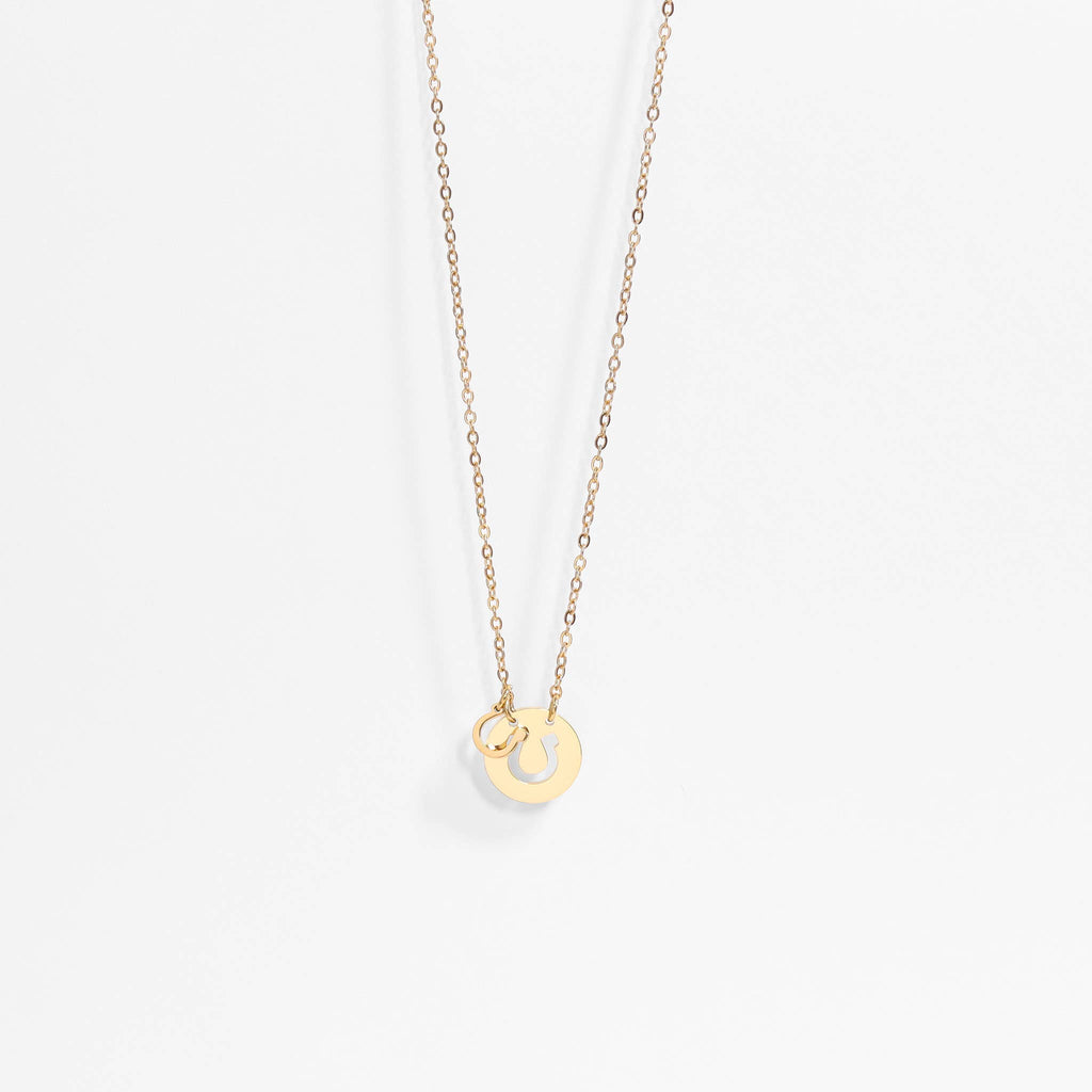 Western Stainless Steel / Gold Horseshoe Charm Necklace