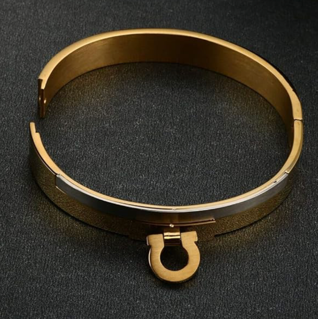 Equestrian Bangle Bracelet Cuff- Stainless Steel- Waterproof