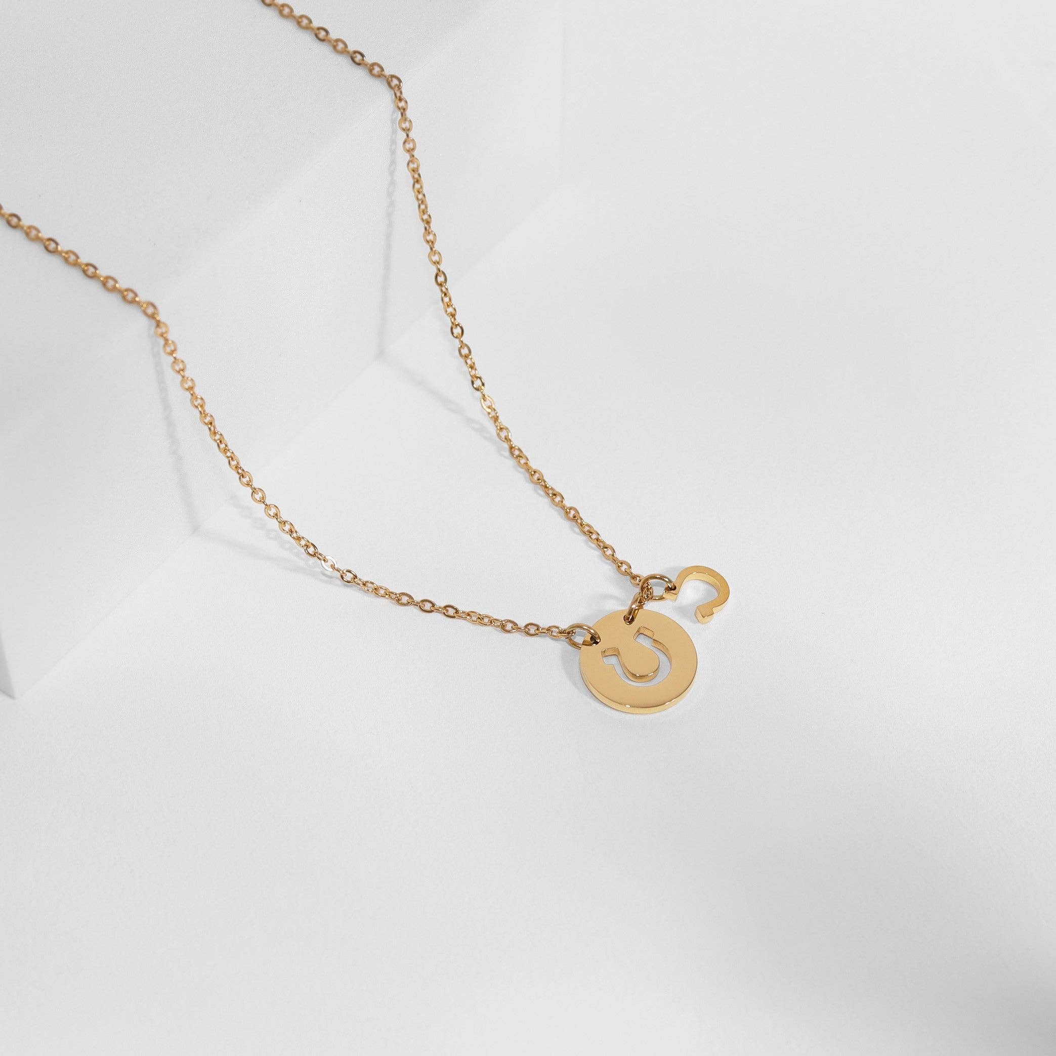Western Stainless Steel / Gold Horseshoe Charm Necklace